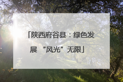 陕西府谷县：绿色发展 “风光”无限